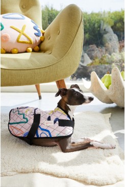 Snakes And Ladders Dog Coat 30cm