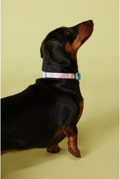 Snakes And Ladders Collar Small