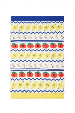 Fair Isle Baby Knit Blanket